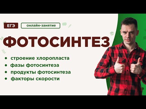 Видео: Фотосинтез | ЕГЭ Биология | Даниил Дарвин