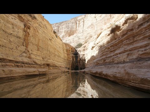 Видео: Пеший туризм в Израиле. Негев, Эйн Авдат, Ницана.