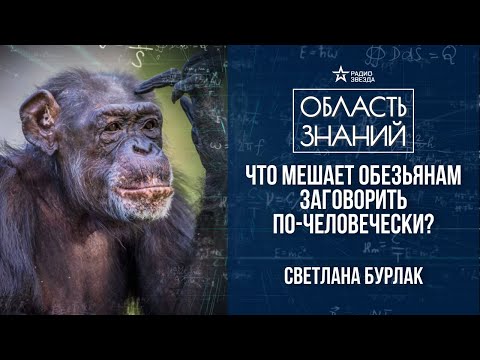 Видео: Могут ли животные говорить и понимать человеческую речь? Лекция лингвиста Светланы Бурлак
