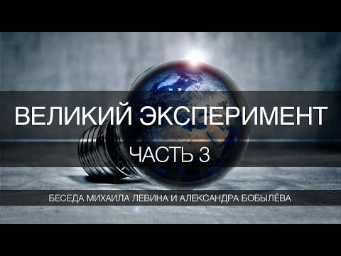 Видео: Великий эксперимент, часть 3  //  беседа Михаила Левина с Александром Бобылёвым