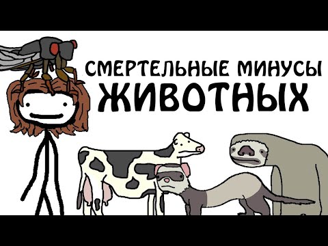 Видео: "Смертельные минусы некоторых животных" - Академия Сэма О'Нэллы (Русская Озвучка Broccoli)