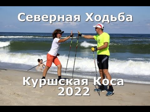 Видео: Куршская коса 2022