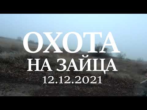 Видео: УДАЧНАЯ ОХОТА НА ЗАЙЦА ПО ЧЕРНОТРОПУ.