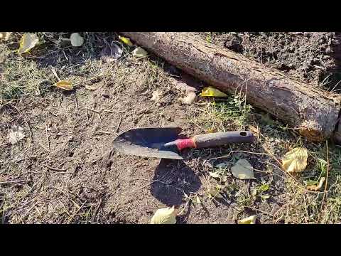 Видео: Как можно обновить грядочки по Овсинскому.