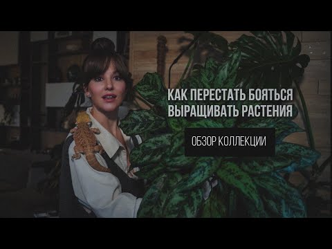 Видео: ОБЗОР КОЛЛЕКЦИИ. ПЕРЕСТАЕМ БОЯТЬСЯ И ВЫРАЩИВАЕМ🪴🪴🪴.