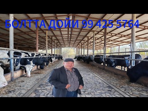 Видео: 17 октября 2025 г.ХАММАНИ ЕТКАСИН ХАВАС КИЛГАНЛАР 1 ЛАЙК БОСАМИЗ
