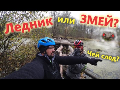 Видео: Найти ЗМЕИНЫЙ КАМЕНЬ! На велосипедах по мистическим местам Мещёры. [ШАТУР, СОСНА ИСПОЛИН]