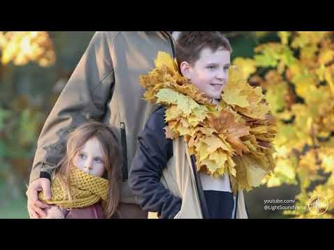Видео: Ах осень, рыжая подружка!