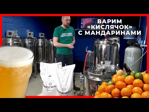 Видео: Варим кислое пиво с мандаринами | Варим Берлинер Вайссе (Berliner Weiße) | Стратегия 21