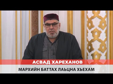 Видео: Асвад - Мархийн баттах лаьцна хьехам