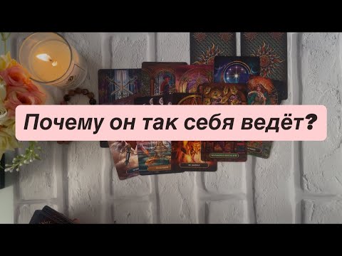 Видео: Почему он так себя ведёт? 🥹❤️