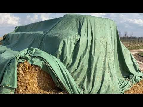 Видео: Вот что бывает когда правильно используешь укрывной флис производства Ланитэкс и ошибки эксплуатации