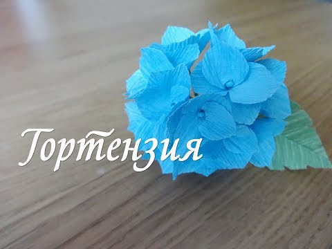 Видео: ГОРТЕНЗИЯ ИЗ ГОФРИРОВАННОЙ БУМАГИ