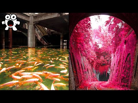 Видео: Заброшенные Места, Где Природа Навела Красоту