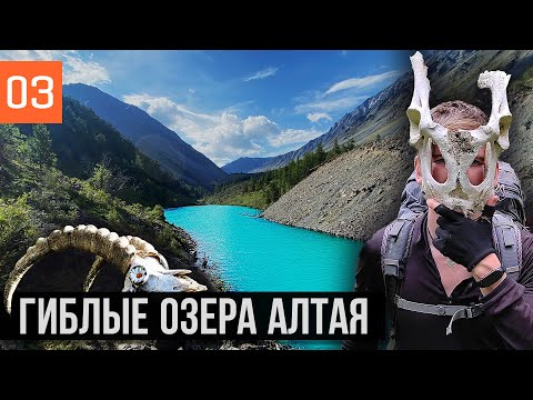 Видео: МЕРТВЫЕ ОЗЕРА АЛТАЯ | ПЕРЕПЛЫВАЕМ ГОРНУЮ РЕКУ | ПУТЕШЕСТВИЕ ПО АЛТАЮ