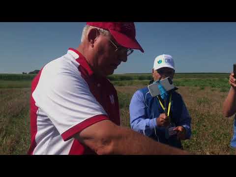 Видео: После уборки пшеницы Пол Яса сеет покровные культуры | Часть 2