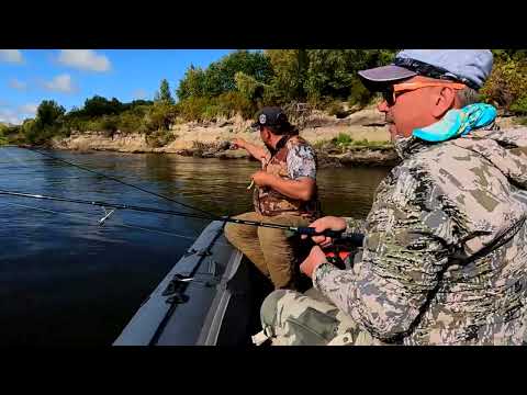 Видео: Куда уходит рыба на подьем воды?