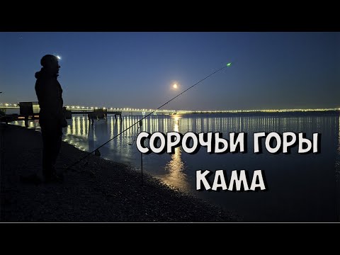 Видео: Рыбалка в Татарстане на реке Кама. Сорочьи горы.