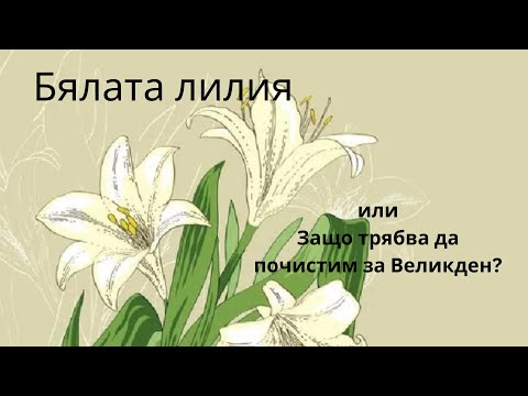 Видео: Бялата лилия или Защо трябва да почистим за Великден? (аудиоприказка)