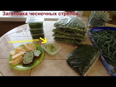 Видео: Заготовка чесночных стрелок на зиму. Чесночное масло.