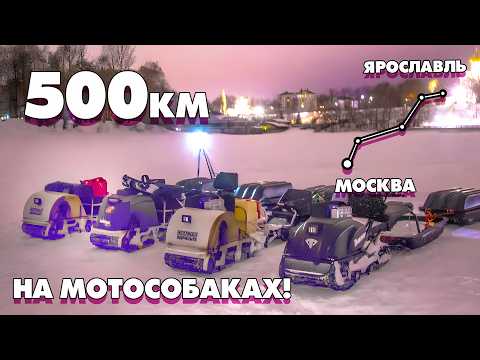 Видео: Самая страшная поломка... И КОНЕЦ ЭКСПЕДИЦИИ! Из Москвы в Ярославль 500км на МОТОСОБАКАХ! Серия 5