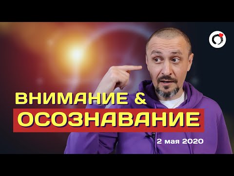 Видео: Андрей Тирса - Внимание и Осознавание. Фрагмент встречи 2 мая 2020