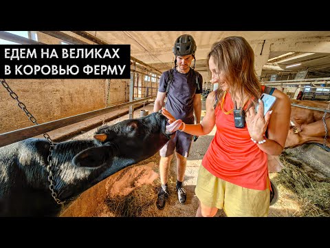 Видео: Покатушка к коровкам на велосипедах. Нашли в лесу подземный центр изучения времени.