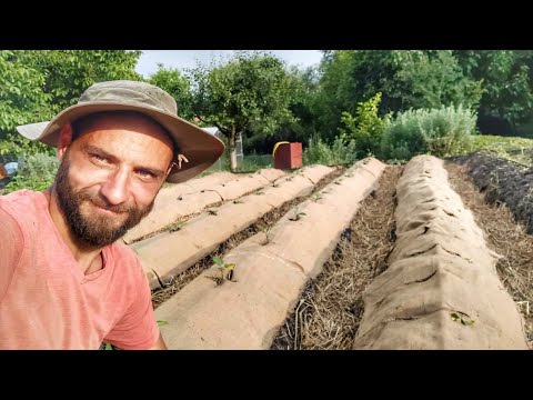 Видео: Живот на СЕЛО: Мулчиране с ... ЧУВАЛИ?  ☼ Имение ХАЛО ☼