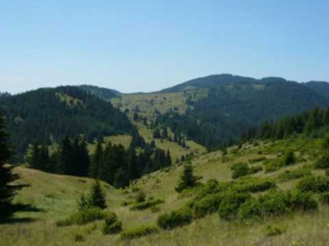 Видео: Петър Янев. Бавна мелодия. Petar Yanev