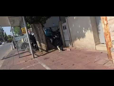 Видео: Я  ЗАПЛАТИЛА БОЛЬНИЦЕ  261 ШЕК.