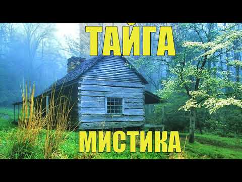 Видео: ПРОКЛЯТЫЙ СТАРЫЙ ДОМ в ТАЙГЕ НАХОДКА в ПОДВАЛЕ СТАРОВЕРЫ ПРОМЫСЕЛ СТРАШНЫЕ ИСТОРИИ из ЖИЗНИ в ЛЕСУ