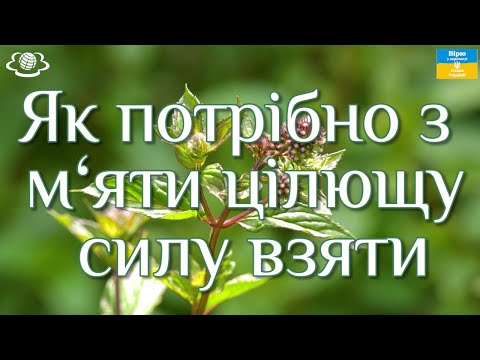 Видео: Як потрібно з  м‘яти цілющу силу взяти!!!