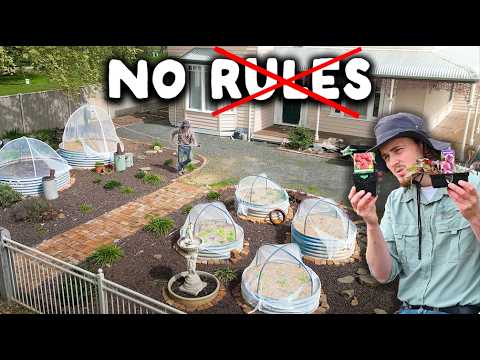 Видео: Преображение моего переднего двора в огород + самодельные сетки для защиты от птиц