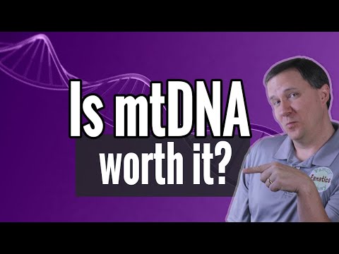 Видео: Что такое митохондриальная ДНК? Стоит ли сдавать анализ на мтДНК?