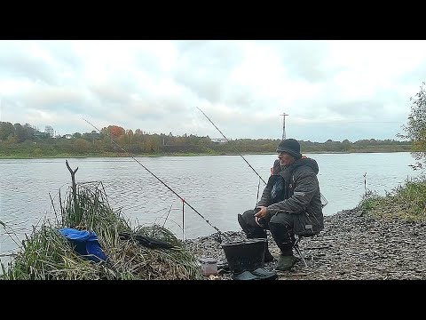 Видео: В этом месте живут Самые Здоровенные Лещи. Оборвал все кормушки и поводки ,но Лещей поймал.