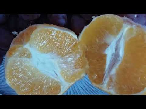 Видео:  АСМР ХРУСТ ЯБЛОКА и Сочный АПЕЛЬСИН 🤤 ASMR EATING (Без слов, триггеры).ДЛЯ СНА.