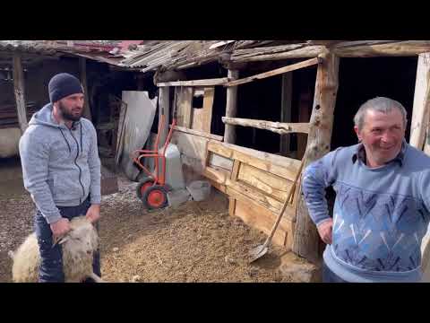 Видео: Этно-тур в с.Эль-Тюбю. Чегемские водопады, «город мертвых» и многое другое.