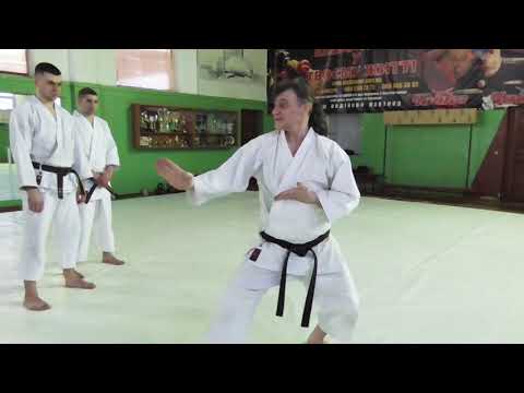 Видео: Как бить быстро в традиционном карате | Применение принципа "секка но ки" в разных техниках