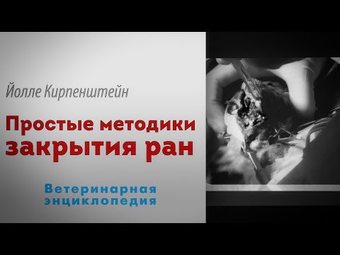 Видео: Простые методики закрытия ран