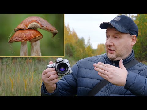 Видео: Nikon - Тот самый цвет  CСD матриц - Nikon D50 🍄😻❤