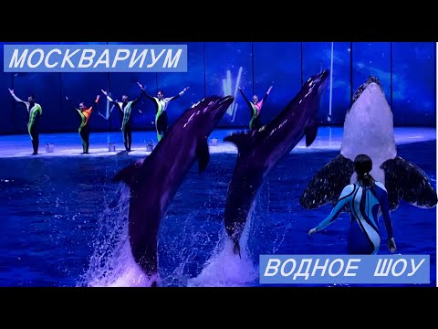 Видео: Москвариум. ВОДНОЕ ШОУ ПОЛНАЯ ВЕРСИЯ .Косатка Ная .Океанариум .Moskvarium #youtube #aquarium