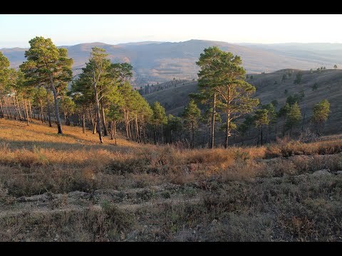 Видео: Забайкалье - Кокуй