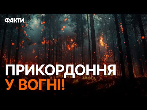 Видео: ТЕРМІНОВО! Є ЗАГ*БЛІ 😨 КАДРИ З МІСЦЯ ПОЖЕЖІ ⭕️ ЛІСА У ДИМУ