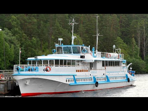 Видео: Ёжики в тумане, отправляемся в Монастырскую бухту 08.06.2025
