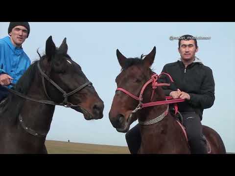 Видео: Келес ауданы Атаконыс ауылы Еркебулан палуан елден бата алу той кокпары Кертай палуан атшабары ашылу