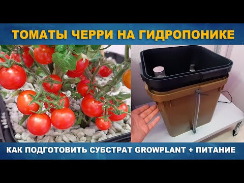 Видео: ТОМАТЫ ЧЕРРИ НА ГИДРОПОНИКЕ В СУБСТРАТЕ GROWPLANT - Система CubePot по принципу затопления Ebb&Flow