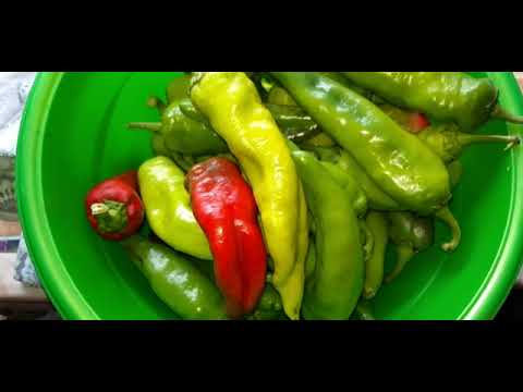 Видео: Жареный перец на зиму.  Без стерилизации. Простой рецепт.