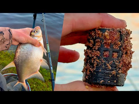 Видео: Рыбалка на Фидер на большой реке как поймать леща