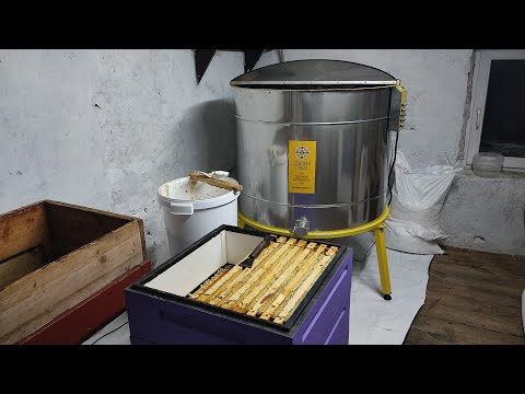 Видео: СУПЕР Медогонка👍 (качаю майский мёд) @ДОНСКАЯПЧЕЛА