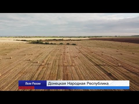 Видео: Матушка Земля, белая берёзонька. @armymodels